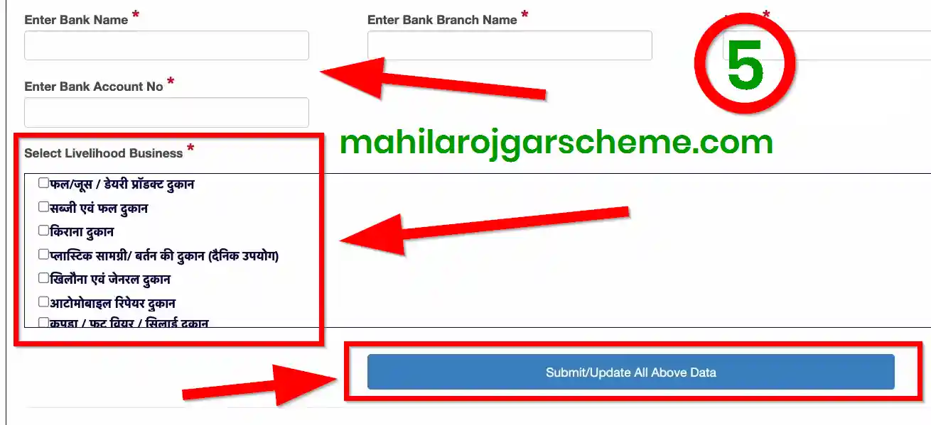 Bihar Mahila Rojgar Yojana Apply Bank Details 2025